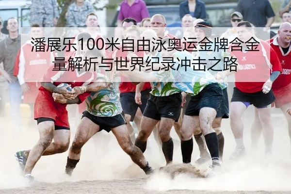 潘展乐100米自由泳奥运金牌含金量解析与世界纪录冲击之路